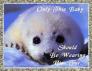 baby_fur.jpg